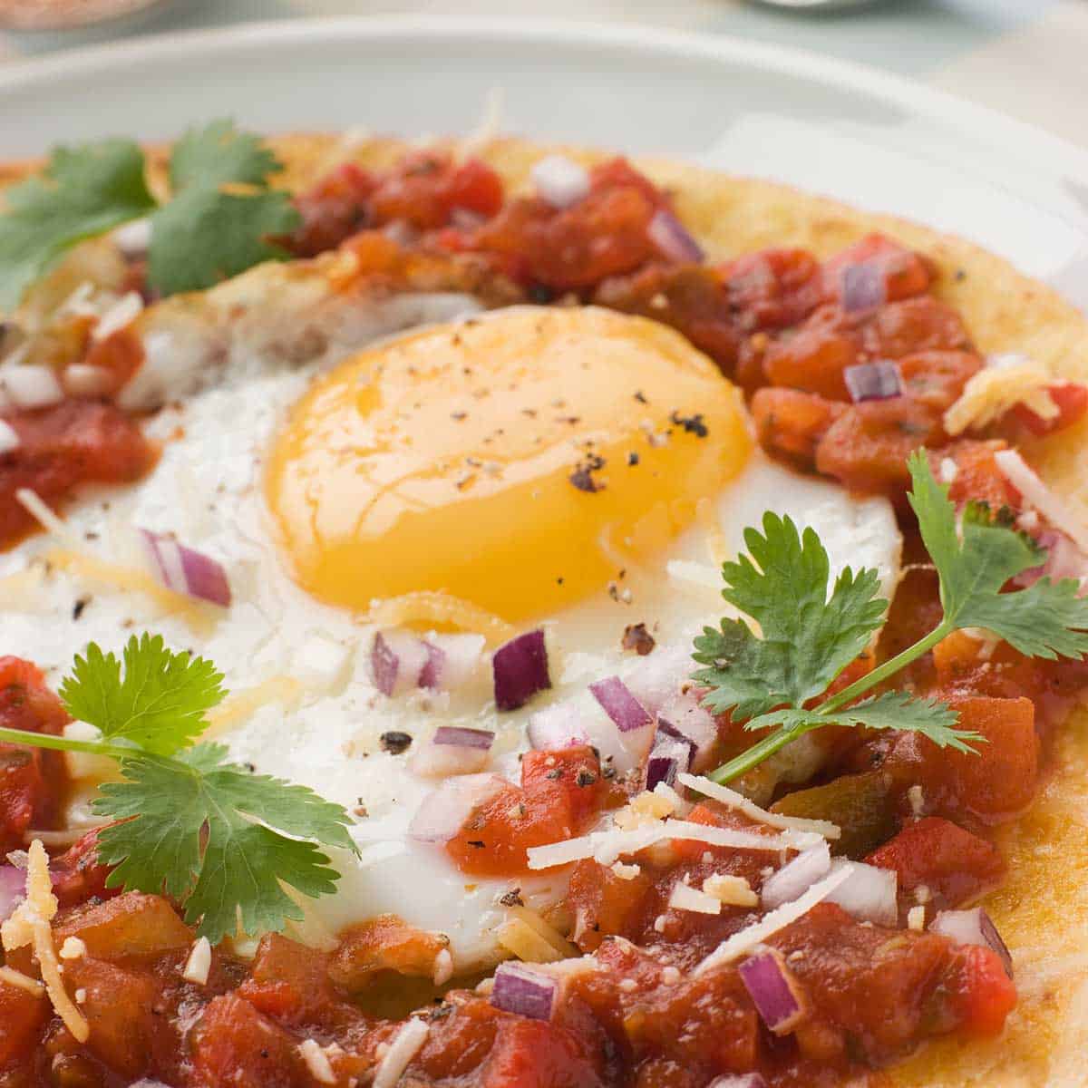 Solar Baked Huevos Rancheros in the Sun Oven