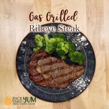 Gas Grilled Ribeye Steak