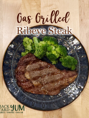 Gas Grilled Ribeye Steak