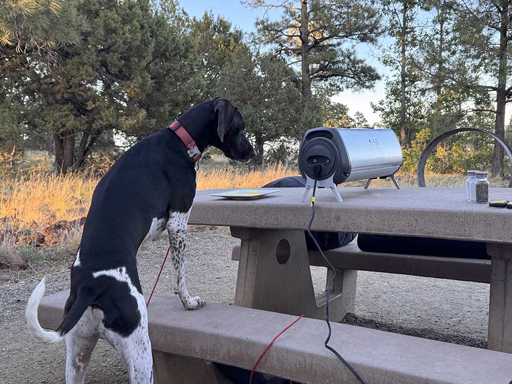 River is ready to eat brats from the GoSun Fusion