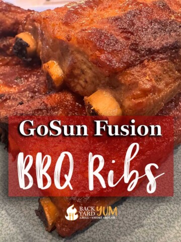 GoSun Fusion BBQ Ribs