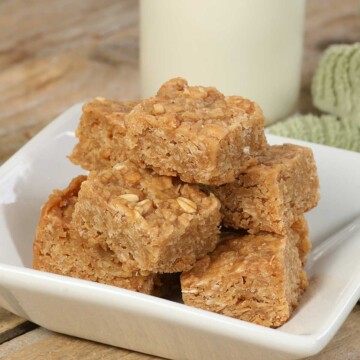 Solar Baked Oatmeal Bites