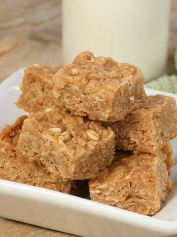 Solar Baked Oatmeal Bites