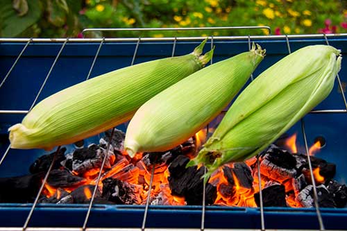 Grill the corn until the kernels are cooked through and tender