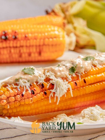 Mexican street corn on a plate